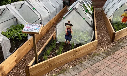 Greenhouse